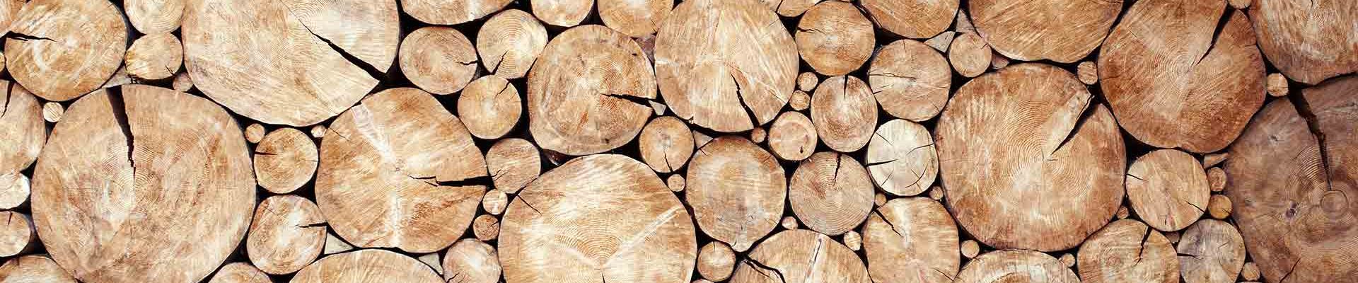 Grupo Gamiz, especialistas en madera.