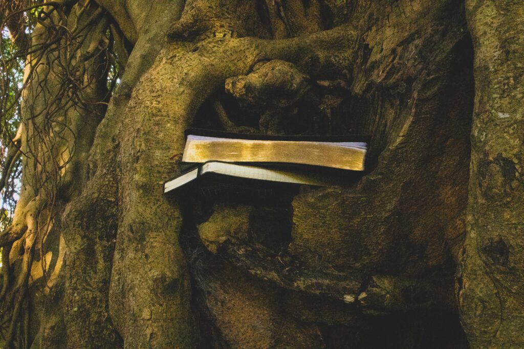 Sebastian-hans-onojcbnhjnw-unsplash-1024x683