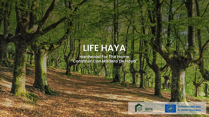 LIFE HAYA: ponemos en valor una especie única