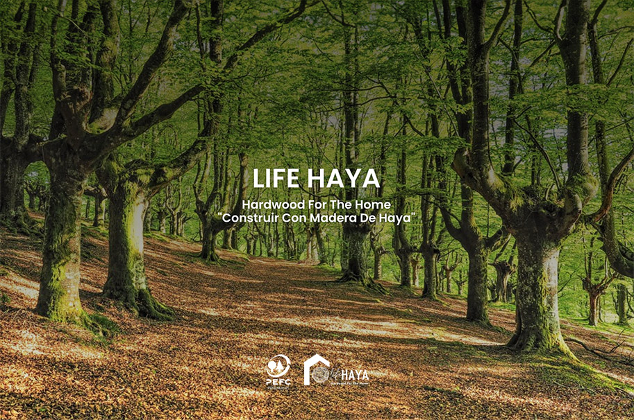 preoycto LIFE HAYA